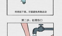 毒虫漫画,揭示昆虫世界的暗黑面