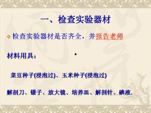 观察种子的结构实验视频,结构实验视频深度解析