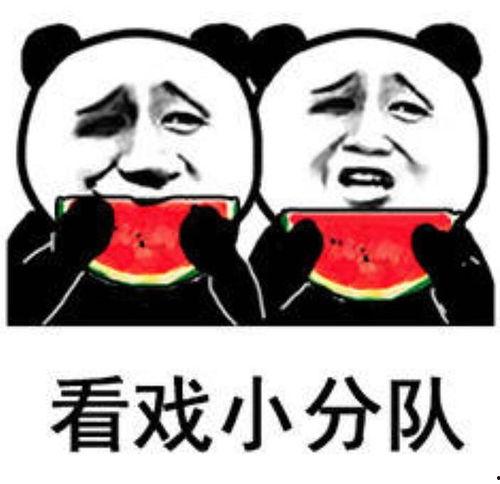 吃瓜娱乐小狗表情包