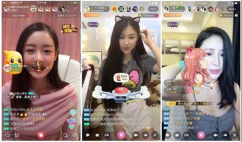 娱乐吃瓜酱大学