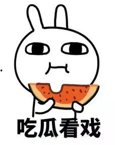 娱乐吃瓜君小团团